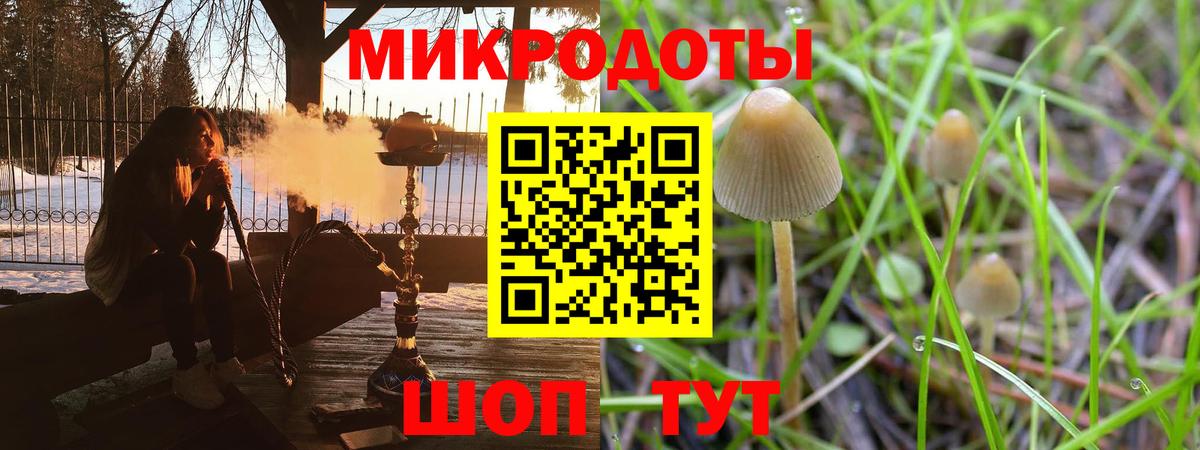 Псилоцибиновые грибы Magic Shrooms Ялта