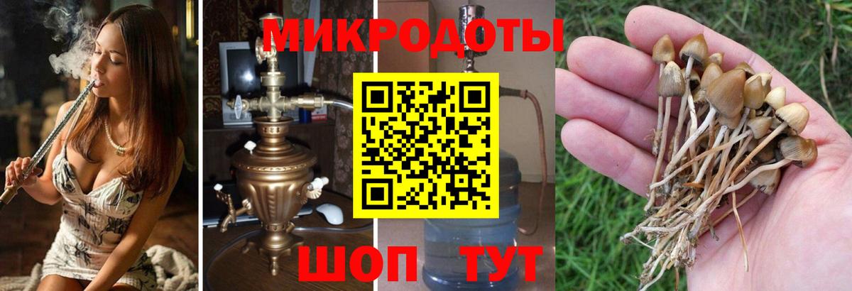 Галлюциногенные грибы MAGIC MUSHROOMS  Галлюциногенные грибы GOLDEN TEACHER  Ялта  Вход с VPN 